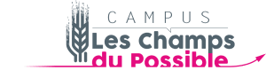 logo LCDP